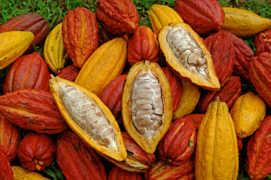 THEOBROMA CACAO - Prana Wholefoods